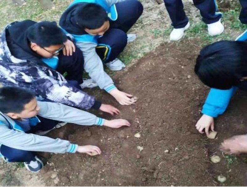 劳动促成长 科创向未来——趣味生物科学种植课程